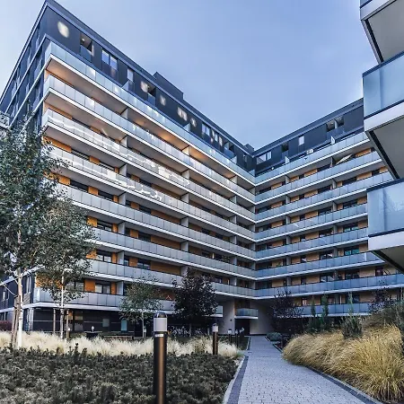 Daire Pure - Gwiazdzista