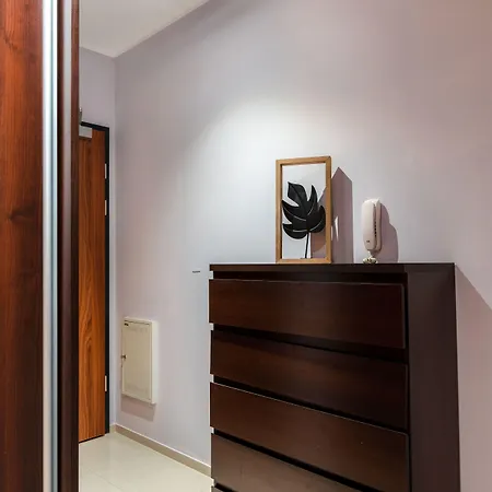 Daire Pure - Gwiazdzista Wroclaw